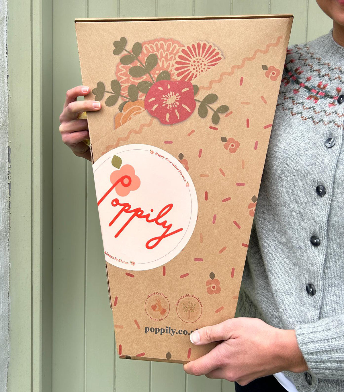 Hands holding up a sealed Poppily postal box, closed with a branded sticker